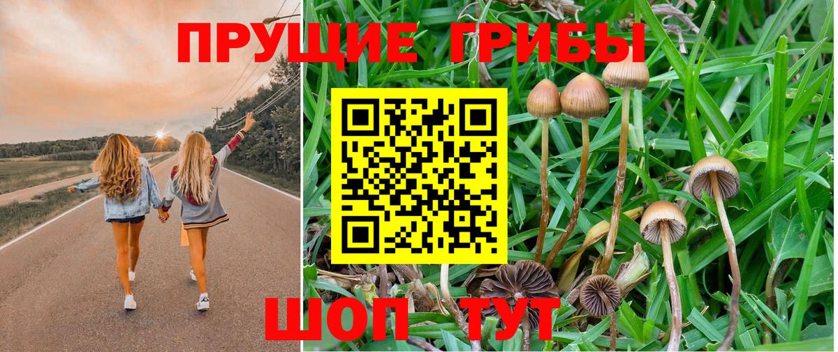 Псилоцибиновые грибы MAGIC MUSHROOMS Учалы